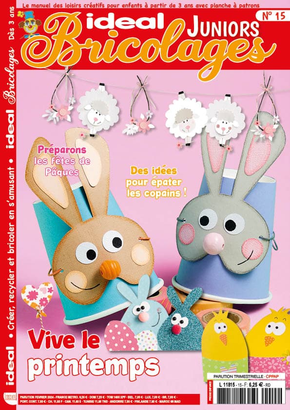 Couverture Ideal bricolage n°15